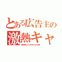 とある広告主の激熱キャンペーン（毎月総額３０００万円のＳＥＯ企画）