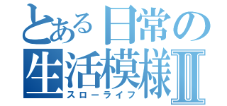 とある日常の生活模様Ⅱ（スローライフ）