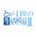 とある日常の生活模様Ⅱ（スローライフ）