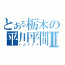 とある栃木の平川平間Ⅱ（バカアアア）