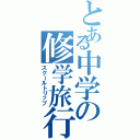 とある中学の修学旅行（スクールトリップ）