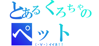 とあるくろちゃんのペット（（・∀・）イイネ！！）