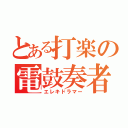 とある打楽の電鼓奏者（エレキドラマー）