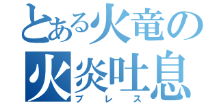 とある火竜の火炎吐息（ブレス）