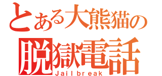 とある大熊猫の脱獄電話（Ｊａｉｌｂｒｅａｋ）