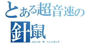 とある超音速の針鼠（ソニック・ザ・ヘッジホッグ）