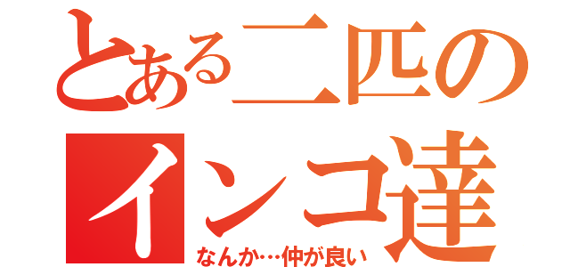 とある二匹のインコ達（なんか…仲が良い）