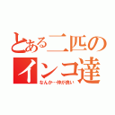 とある二匹のインコ達（なんか…仲が良い）