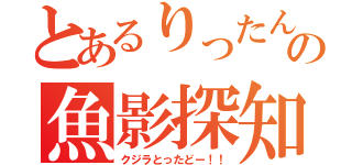 とあるりったんの魚影探知（クジラとったどー！！）