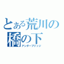 とある荒川の橋の下（アンダーブリッジ）