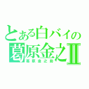 とある白バイの葛原金之助Ⅱ（葛原金之助）