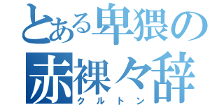 とある卑猥の赤裸々辞典（クルトン）