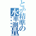 とある精準の水準測量（哇哈哈哈）