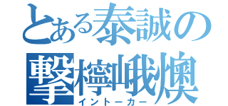 とある泰誠の撃檸峨燠（イントーカー）