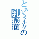 とあるミルクの乳酸菌（なまほうそう）