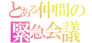 とある仲間の緊急会議（）