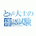 とある大士の確認試験（カクニンテスト）