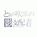 とある吹部の影支配者（ユーフォ二アム）