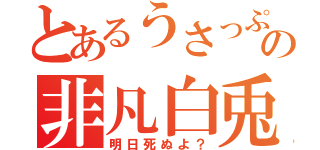 とあるうさっぷの非凡白兎（明日死ぬよ？）