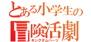 とある小学生の冒険活劇（キングダムハーツ）