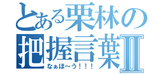 とある栗林の把握言葉Ⅱ（なぁほ～う！！！）