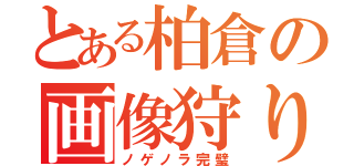 とある柏倉の画像狩り（ノゲノラ完璧）