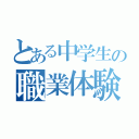 とある中学生の職業体験（）