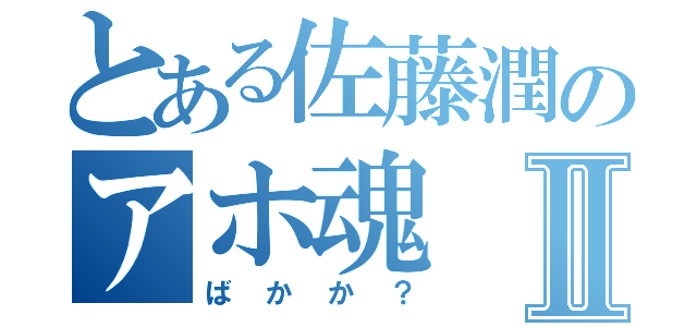 とある佐藤潤のアホ魂Ⅱ（ばかか？）