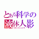 とある科学の液体人影（リキッドシャドウ）