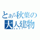 とある秋葉の大人建物（エロタワー）