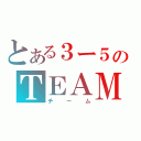 とある３ー５のＴＥＡＭ（チーム）