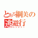 とある綱美の逃避行（ランデブー）