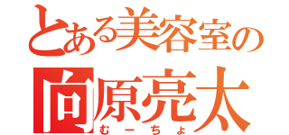 とある美容室の向原亮太（むーちょ）