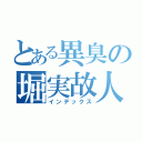 とある異臭の堀実故人（インデックス）