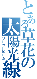 とある草花の太陽光線（ソーラービーム）