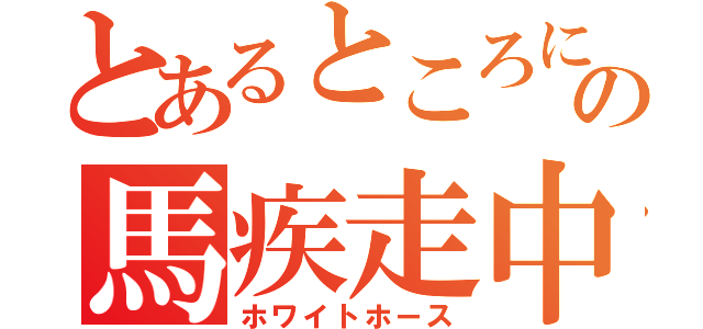 とあるところにの馬疾走中（ホワイトホース）