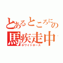 とあるところにの馬疾走中（ホワイトホース）