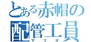 とある赤帽の配管工員（マリオ）