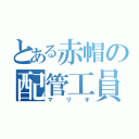 とある赤帽の配管工員（マリオ）