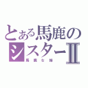 とある馬鹿のシスターⅡ（馬鹿な姉）