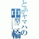 とあるヤマハの中型二輪Ⅱ（ニーハンバイク）