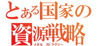 とある国家の資源戦略（メタル　ストラテジー）