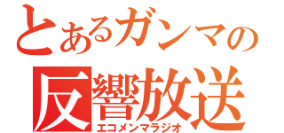 とあるガンマの反響放送（エコメンマラジオ）