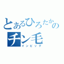 とあるひろたかのチン毛（インビッグ）