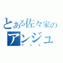 とある佐々家のアンジュたん（ワンコ）