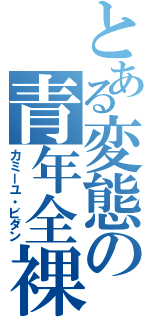 とある変態の青年全裸青年（カミーユ・ビダン）