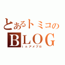 とあるトミコのＢＬＯＧ（ｉｎアメブロ）