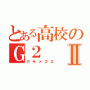 とある高校のＧ２Ⅱ（カモメガネ）