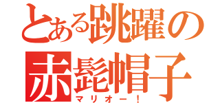 とある跳躍の赤髭帽子（マリオー！）