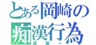 とある岡崎の痴漢行為（逮捕ー）